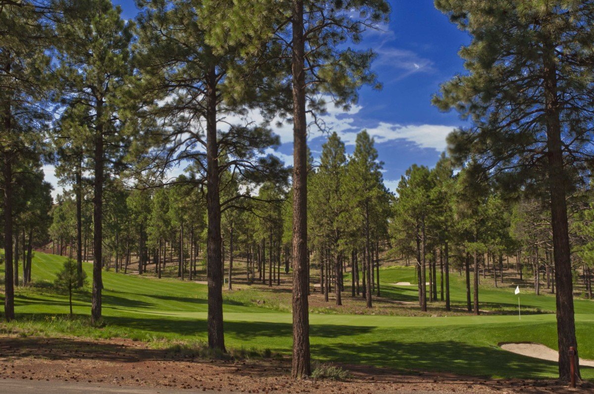 Flagstaff-Ranch-golf-View-2