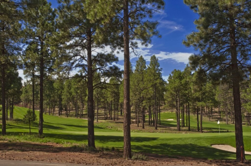 Flagstaff Ranch golf View 2